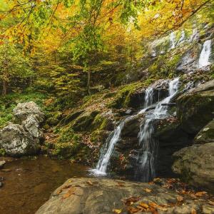 Shenandoah National Park